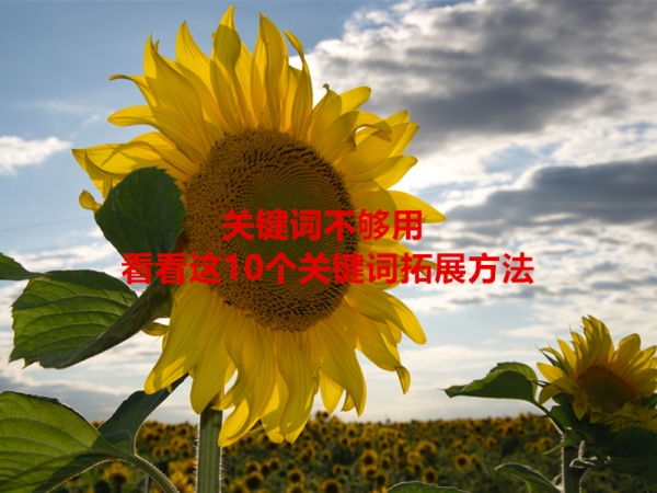 關(guān)鍵詞不夠用，看看這10個(gè)關(guān)鍵詞拓展方法！